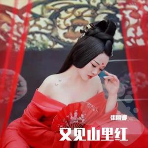 又见山里红（DJ版)