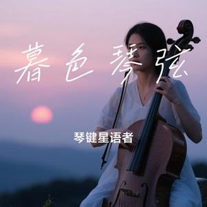 暮色琴弦