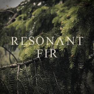 Resonant Fir (Tagelharpa & Ritual Drum)