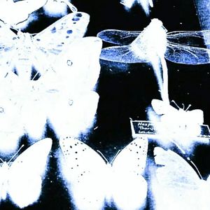 唯一(prod tired）