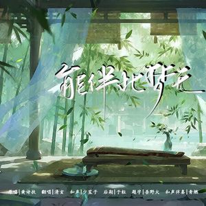 能伴此梦无