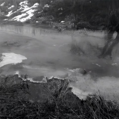 一场光影斑驳的梦