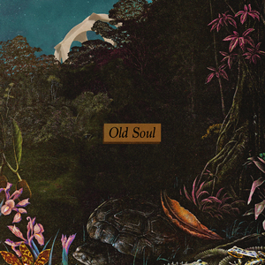 Old Soul