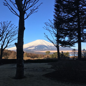 日の当たる場所