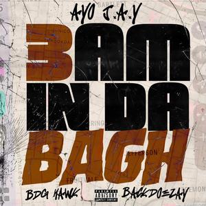 3am in da Bagh (feat. BDG Hawk & BACKDOEZAY)