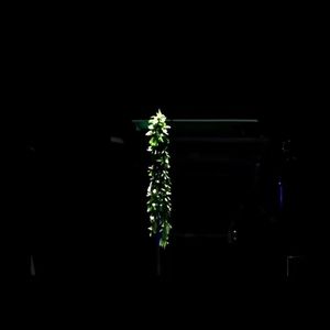 Waiting For The End (Drumstep Ins.) [Feat. ZwieRZ]