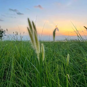 平行宇宙的我和你