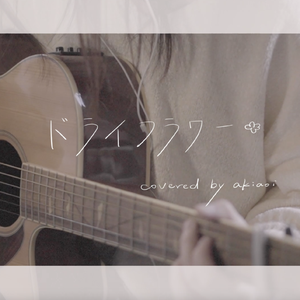 ドライフラワー（吉他弹唱）