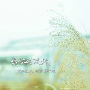 想你时风起（男声版）