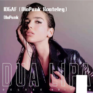 IDGAF（DloPunk Bootleg）