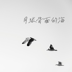 兜圈（管弦乐版）