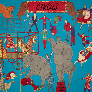 Circus