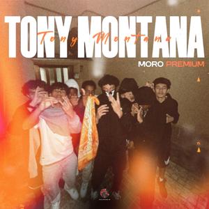 Tony Montana - Moro Premium