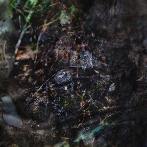 I Wonder If Im Too Late