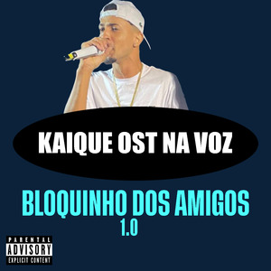 Bloquinho dos Amigos 1.0: No pelo / Porradão / Estelionatario / Metedor / Garupa / Trepa / Na Minha Cara / Pedindo / Vapo / João Careca