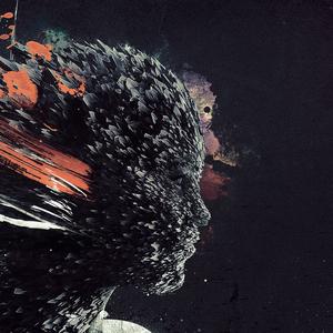 叮咚鸡大狗叫 (核酸之歌)