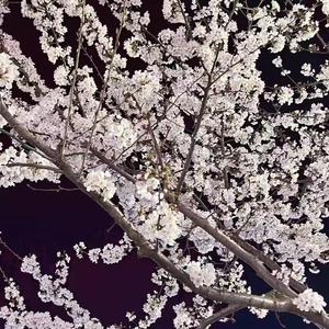 這個問題只有你知道