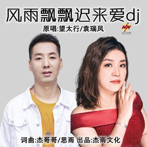 风雨飘飘迟来爱dj-缺女 (伴奏)