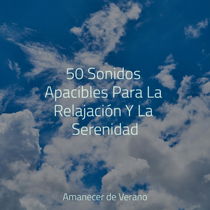 Recuerdos Silenciosos al Anochecer