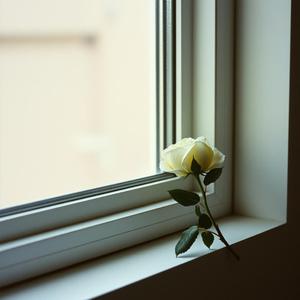 白い薔薇が枯れる頃に