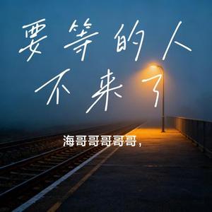 要等的人不来了 (海哥哥哥哥哥， Remix)