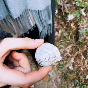 我想和你虚度时光