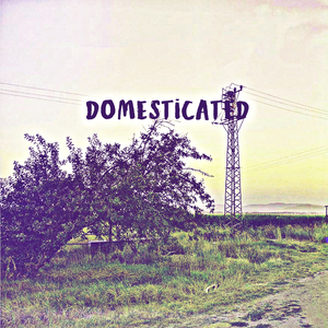 Domesticated