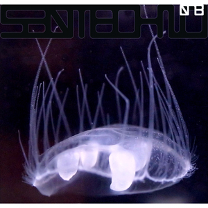 Yellow Tape (The Automatic Message Remix)