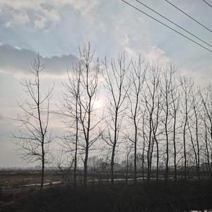 阿拉斯加湾（高中生合唱版）