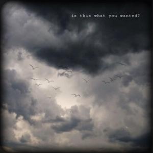 Is This What You Wanted?