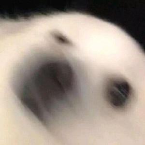 门没锁