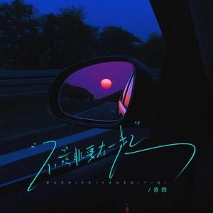 不是非要在一起 (DJ小左版)1.2x降调版