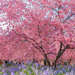 向银河借一缕光