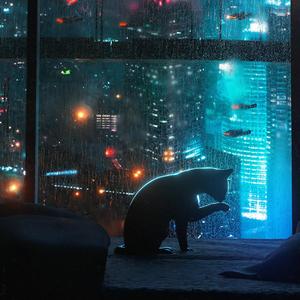 抓不住的风