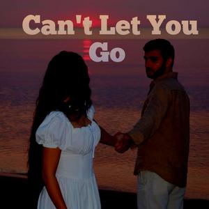 Can't Let You Go