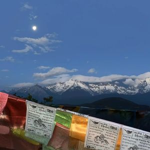原来路上有我也有你
