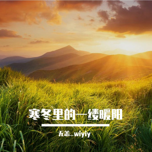 点亮荷塘