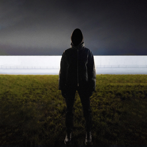 Стаями птиц