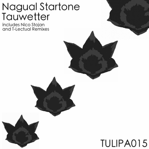 Tauwetter (Nico Stojan Remix)