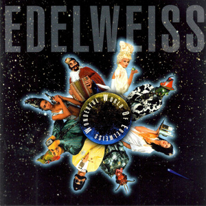 Starship (Raumschiff) Edelweiss