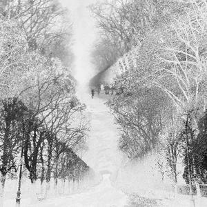 关于模糊的记忆