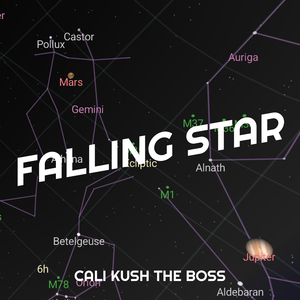 Falling Star