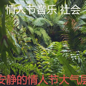 抚慰的鲜花花束回忆