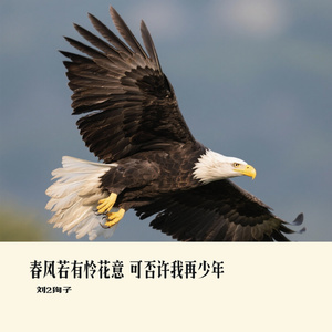 春风若有怜花意 可否许我再少年