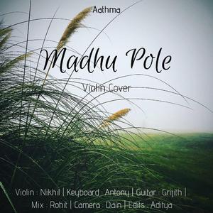 Madhu Pole (feat. Grijith Rajan) (Violin Instrumental)