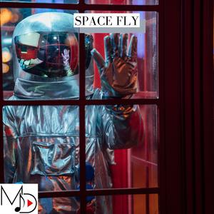 Space Fly