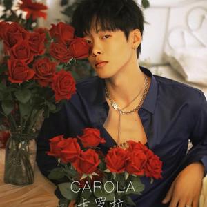 羞答答的玫瑰静悄悄地开(古筝版)