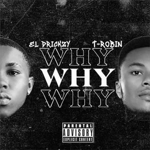 Why (feat. T Robin)