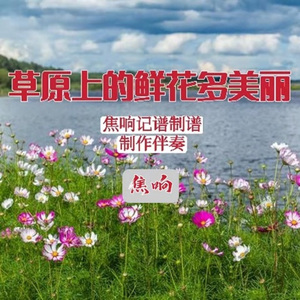 草原上的鲜花多美丽