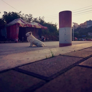 打不通的电话别让客服替你说对不起